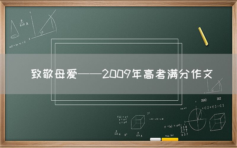  致敬母爱——2009年高考满分作文