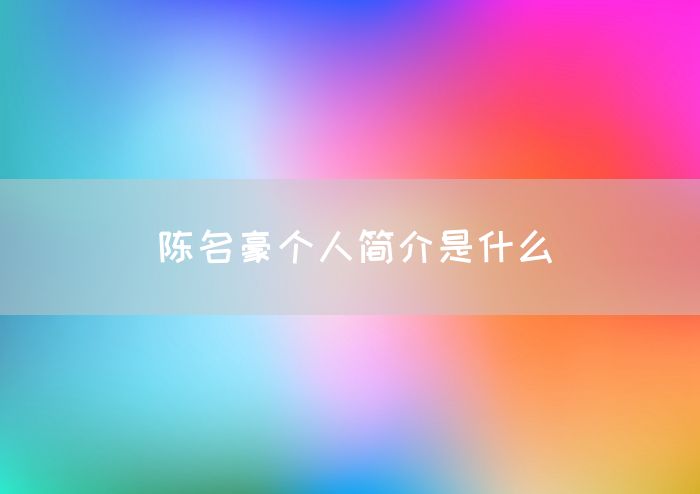 陈名豪个人简介是什么(图1)