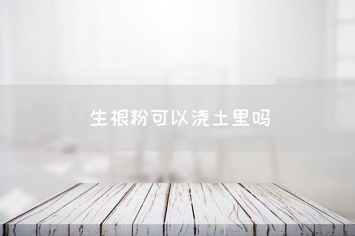 生根粉可以浇土里吗(图1)