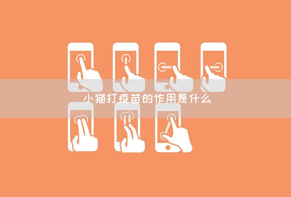 小猫打疫苗的作用是什么(图1)