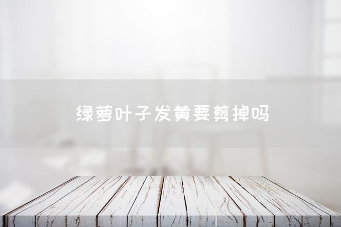 绿萝叶子发黄要剪掉吗(图1)