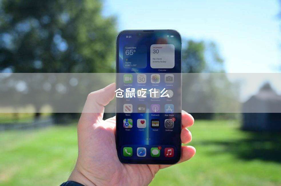 仓鼠吃什么(图1)