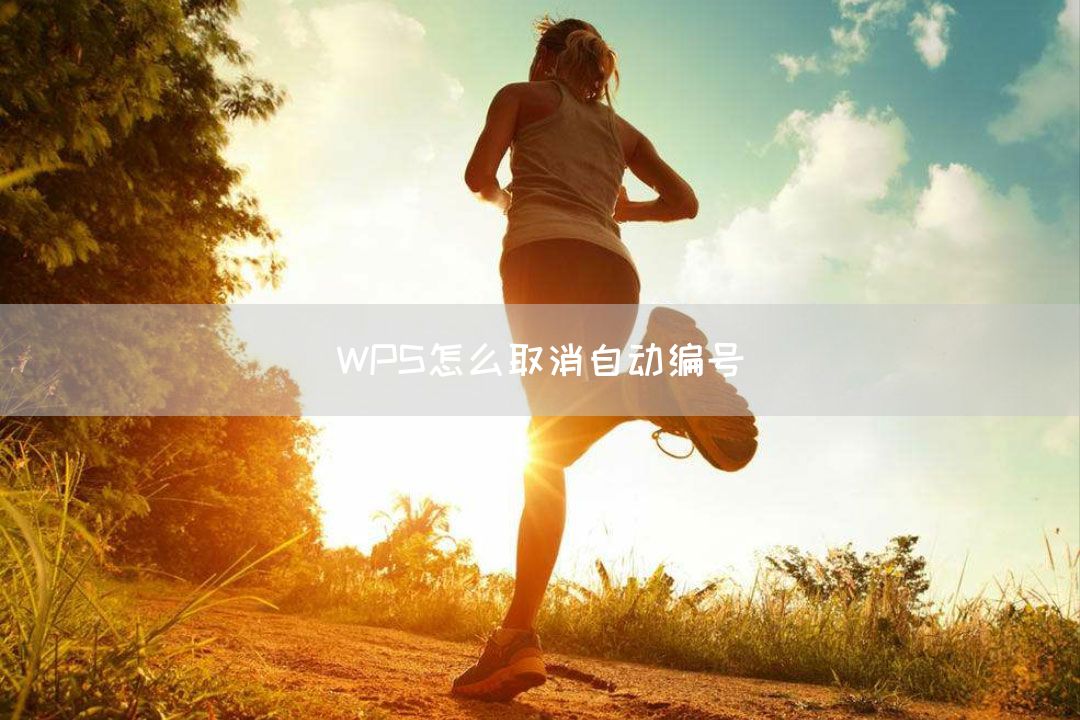 WPS怎么取消自动编号(图1)