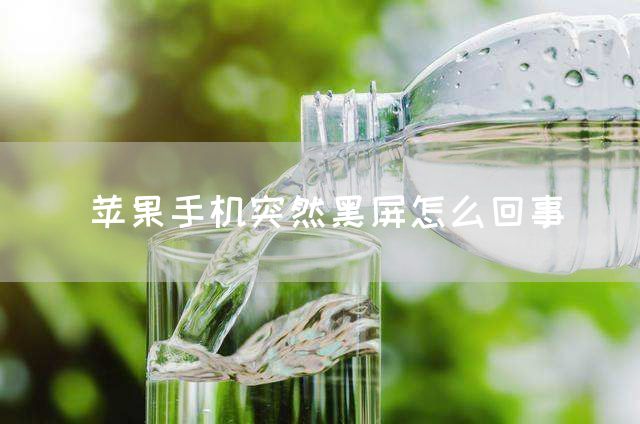 苹果手机突然黑屏怎么回事(图1)