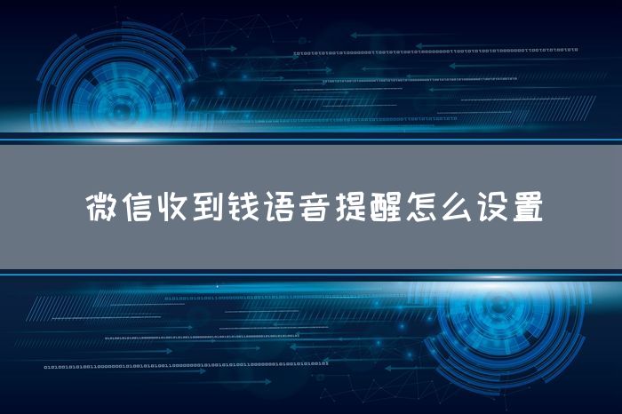 微信收到钱语音提醒怎么设置(图1)