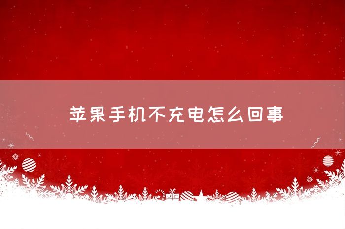 苹果手机不充电怎么回事