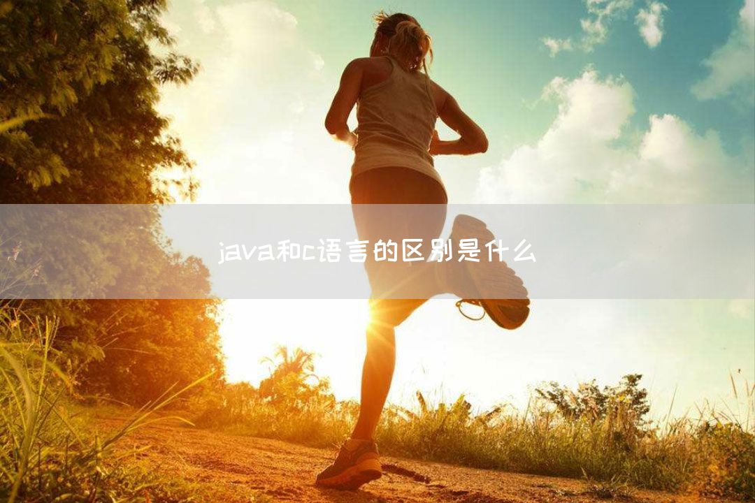 java和c语言的区别是什么