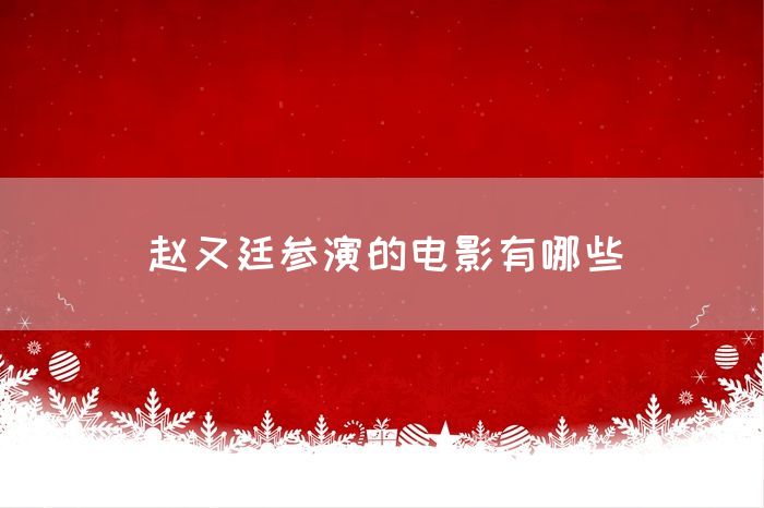 赵又廷参演的电影有哪些