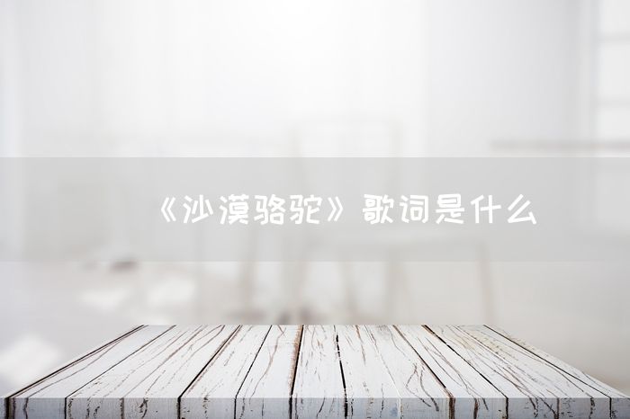 《沙漠骆驼》歌词是什么(图1)