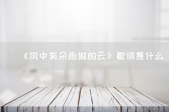 《风中有朵雨做的云》歌词是什么