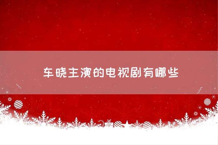 车晓主演的电视剧有哪些