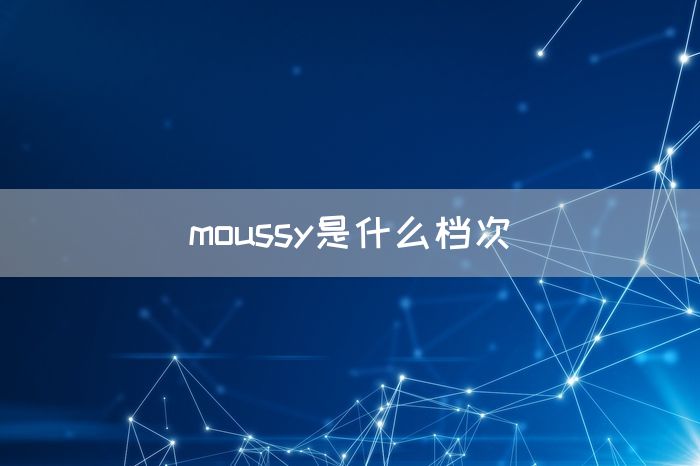 moussy是什么档次