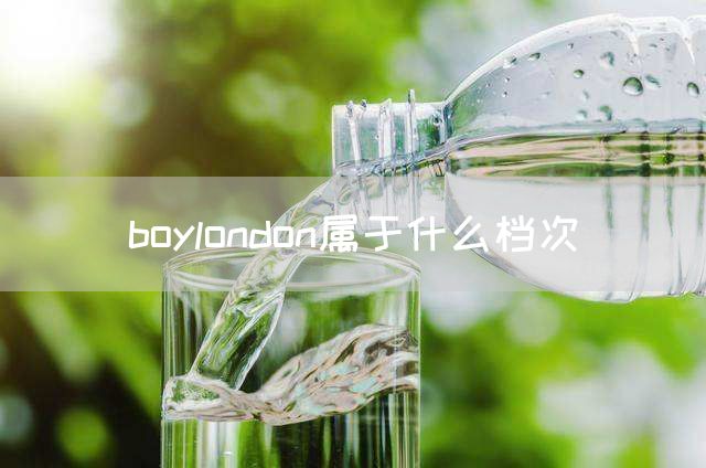 boylondon属于什么档次