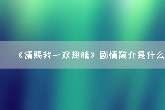 《请赐我一双翅膀》剧情简介是什么(图1)