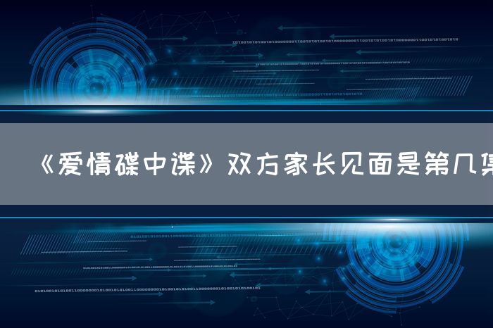 《爱情碟中谍》双方家长见面是第几集