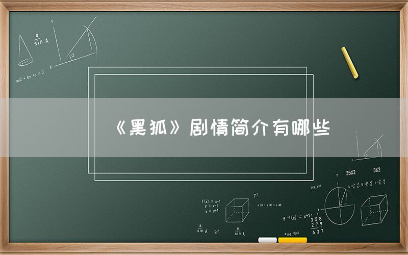 《黑狐》剧情简介有哪些(图1)