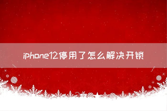 iphone12停用了怎么解决开锁(图1)