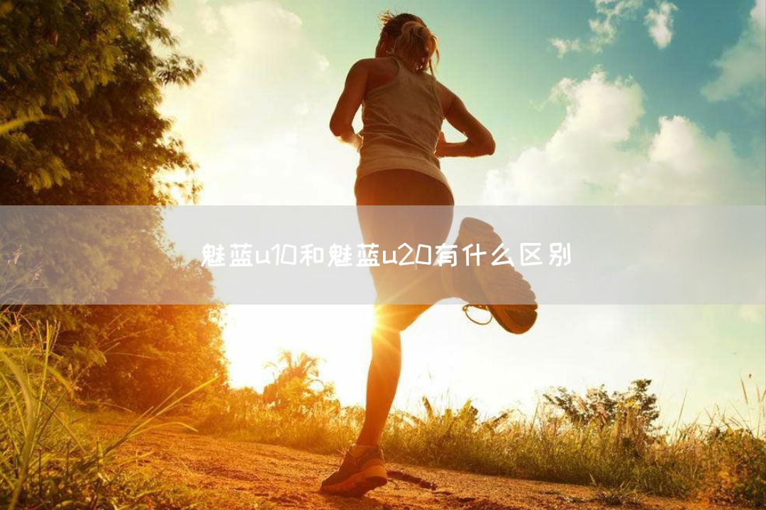 魅蓝u10和魅蓝u20有什么区别(图1)