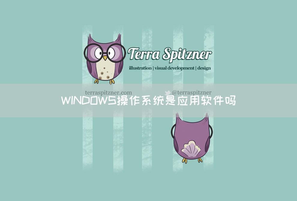 WINDOWS操作系统是应用软件吗