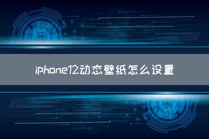 iphone12动态壁纸怎么设置(图1)