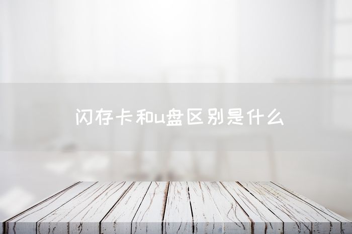 闪存卡和u盘区别是什么(图1)