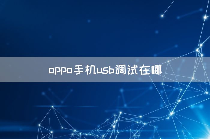 oppo手机usb调试在哪(图1)