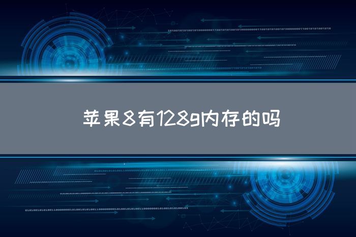 苹果8有128g内存的吗