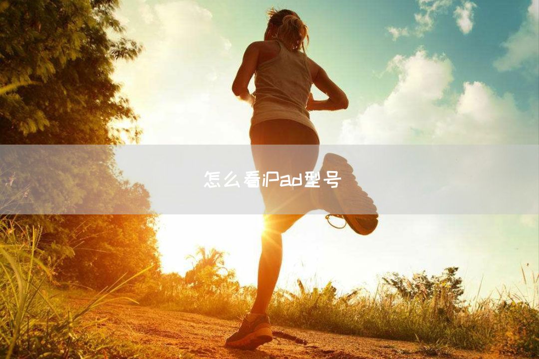 怎么看iPad型号(图1)