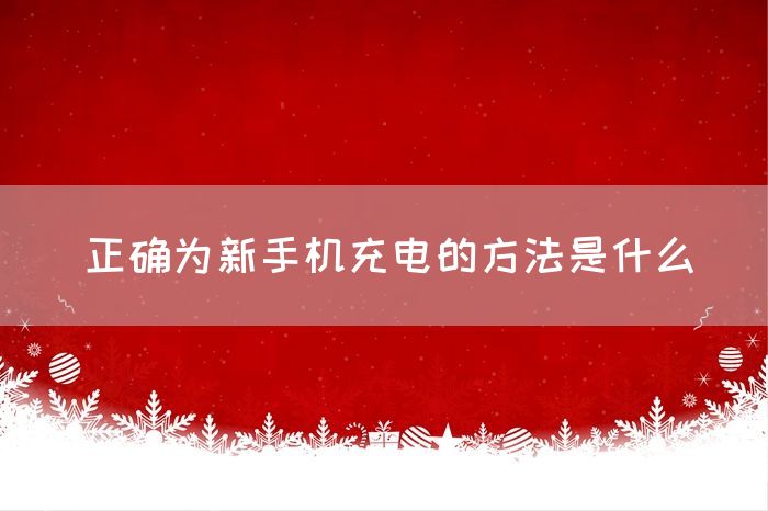 正确为新手机充电的方法是什么(图1)