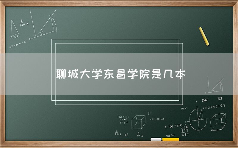 聊城大学东昌学院是几本