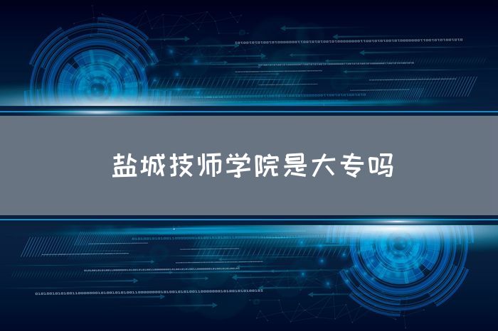 盐城技师学院是大专吗(图1)