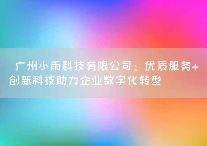  广州小雨科技有限公司：优质服务+创新科技助力企业数字化转型