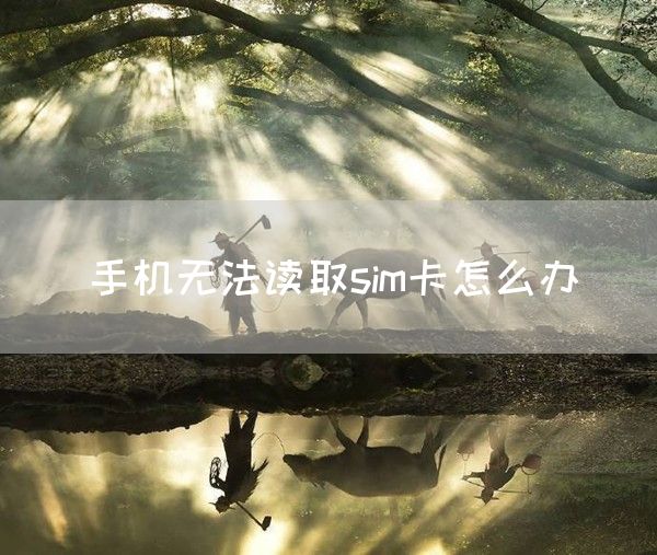 手机无法读取sim卡怎么办(图1)