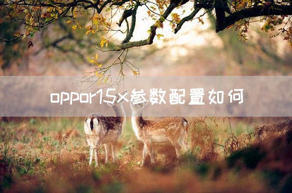 oppor15x参数配置如何