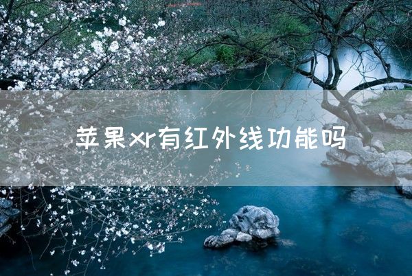 苹果xr有红外线功能吗(图1)