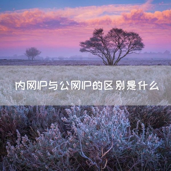 内网IP与公网IP的区别是什么(图1)