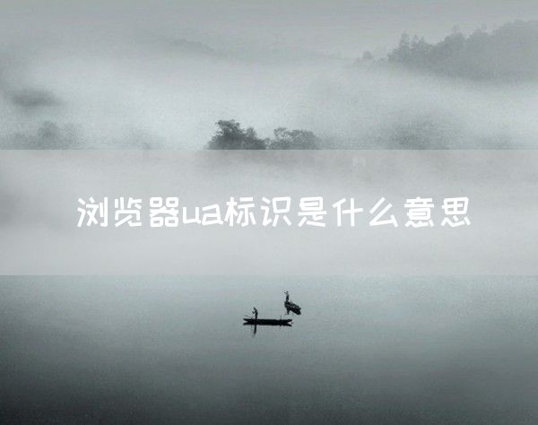 浏览器ua标识是什么意思(图1)