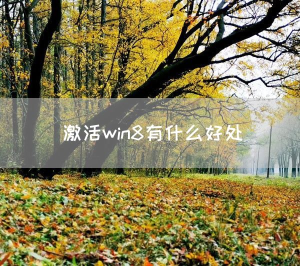 激活win8有什么好处(图1)