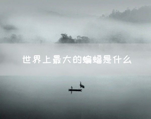 世界上最大的蝙蝠是什么(图1)