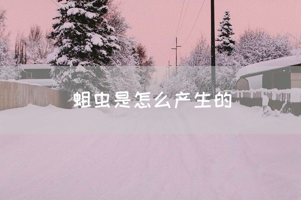 蛆虫是怎么产生的(图1)