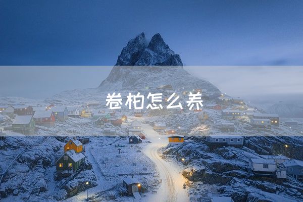 卷柏怎么养(图1)