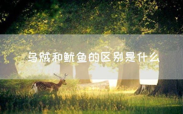 乌贼和鱿鱼的区别是什么(图1)