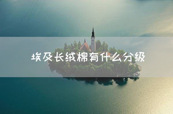 埃及长绒棉有什么分级(图1)