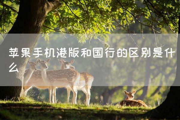 苹果手机港版和国行的区别是什么(图1)