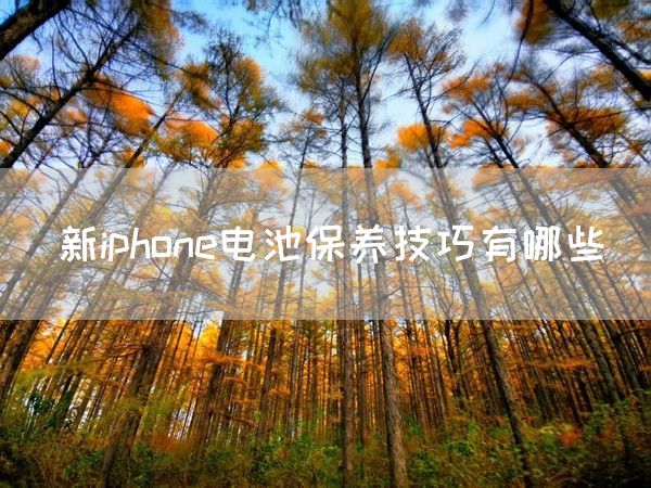 新iphone电池保养技巧有哪些