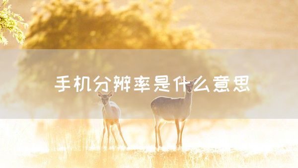 手机分辨率是什么意思(图1)