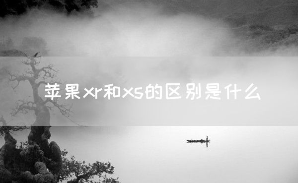 苹果xr和xs的区别是什么(图1)