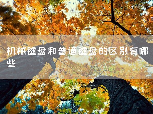 机械键盘和普通键盘的区别有哪些(图1)