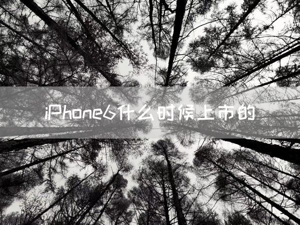 iPhone6什么时候上市的(图1)