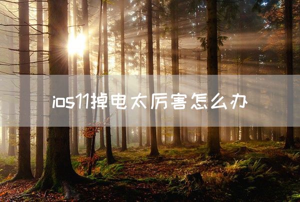 ios11掉电太厉害怎么办(图1)